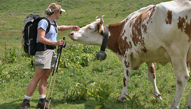 Wswi-switzerland-walking-11